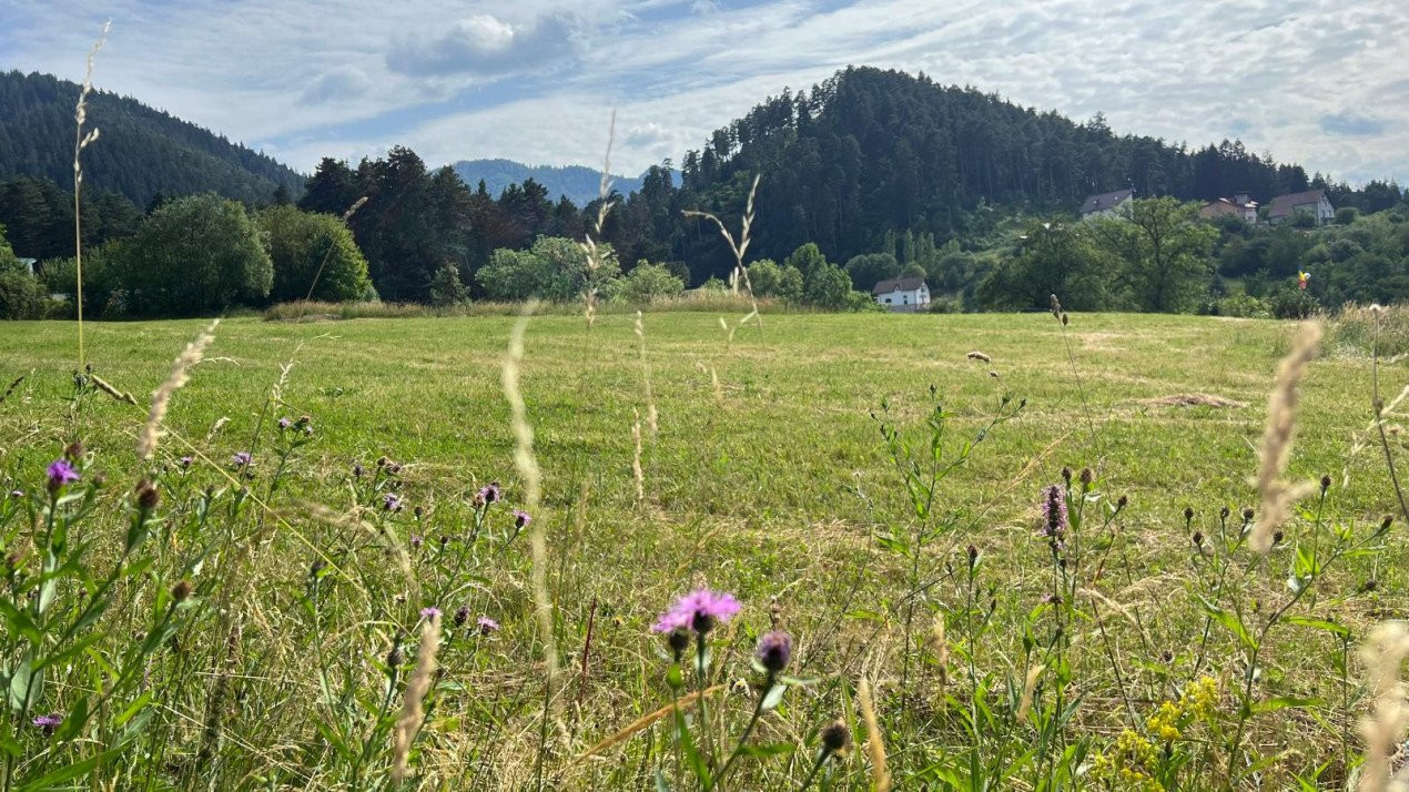 Loturi de teren 400-600 mp. cu autorizatie de construire casa in Sacele-Brasov