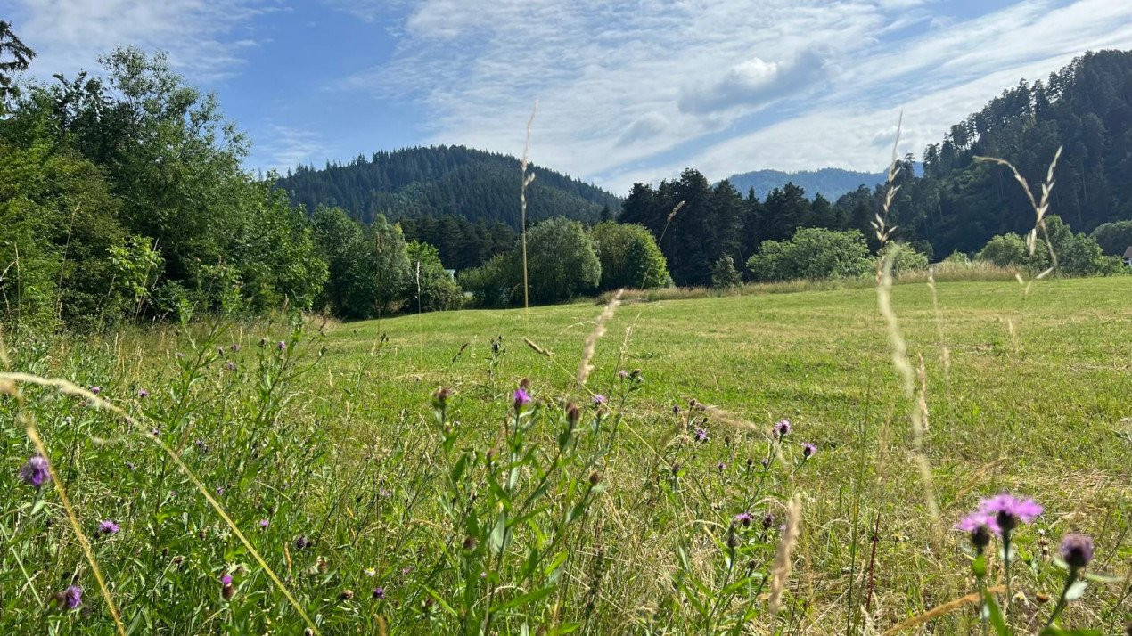 Loturi de teren 400-600 mp. cu autorizatie de construire casa in Sacele-Brasov