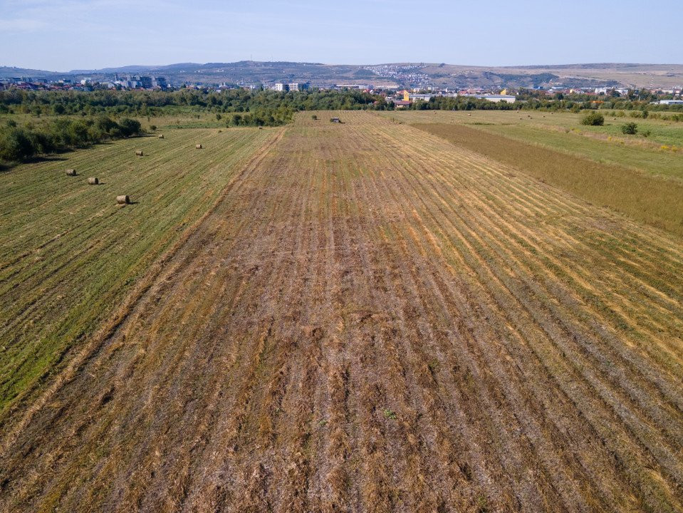 Teren intravilan, 2.800 m2, Cluj-Napoca