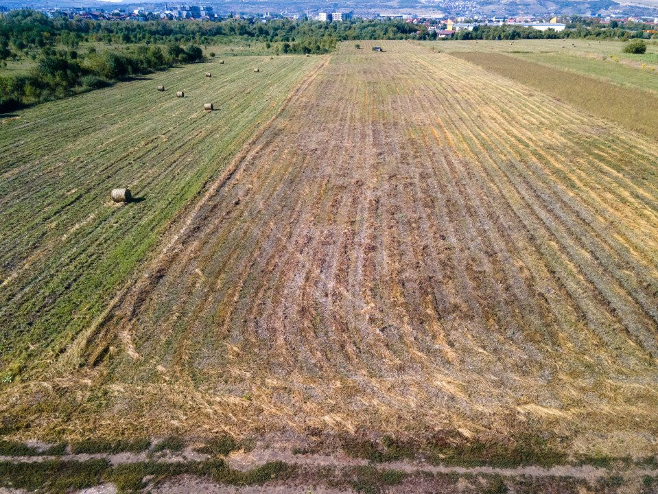 Teren intravilan, 2.800 m2, Cluj-Napoca