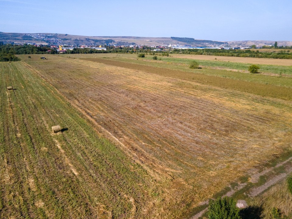 Teren intravilan, 2.800 m2, Cluj-Napoca