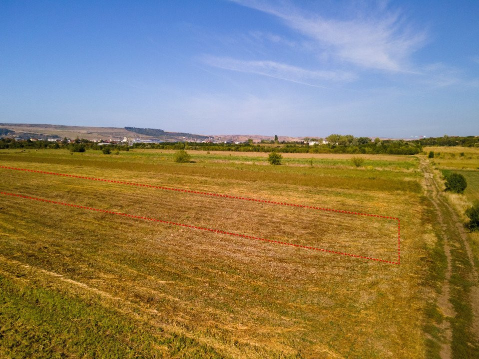 Teren intravilan, 2.800 m2, Cluj-Napoca