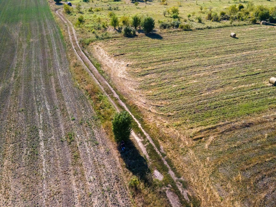 Teren intravilan, 2.800 m2, Cluj-Napoca