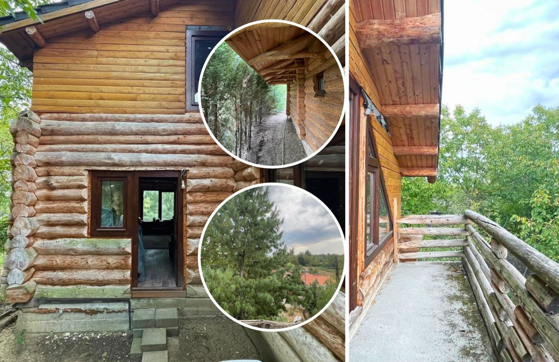 Wooden House - Casă de vânzare, Podgoria - Bihor