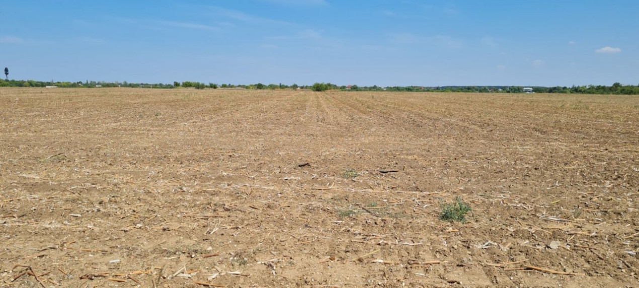 Teren investitie Buftea cu deschidere la lacul Buciumeni