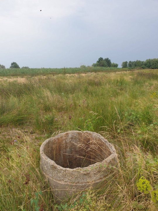 Teren intravilan in Delta Dunarii, C.A. Rosetti - Cardon