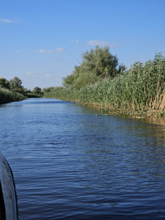 Teren intravilan in Delta Dunarii, C.A. Rosetti - Cardon