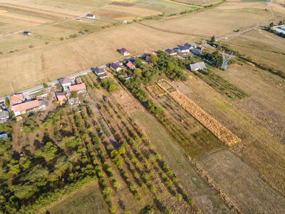 Teren intravilan, 5.800 m2, Săliștea Nouă, Baciu, jud. Cluj