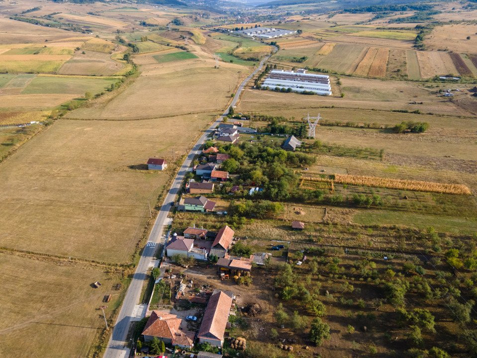 Teren intravilan, 5.800 m2, Săliștea Nouă, Baciu, jud. Cluj