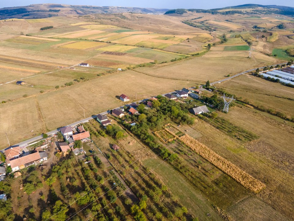 Teren intravilan, 5.800 m2, Săliștea Nouă, Baciu, jud. Cluj