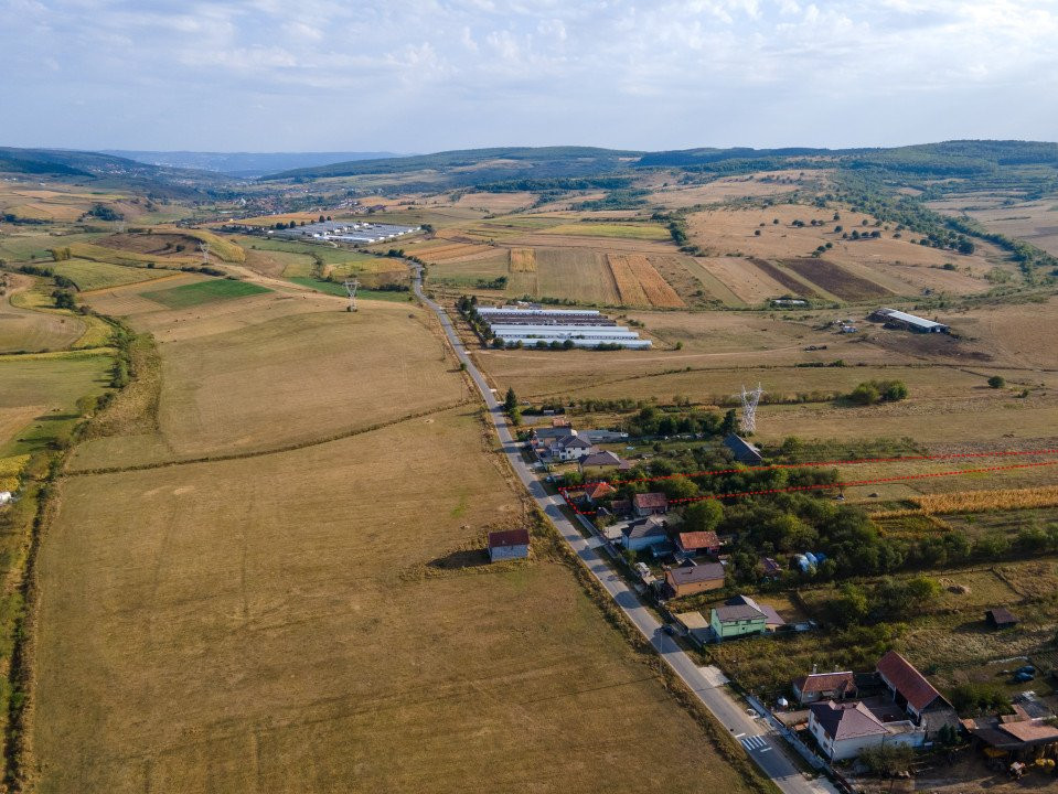 Teren intravilan, 5.800 m2, Săliștea Nouă, Baciu, jud. Cluj