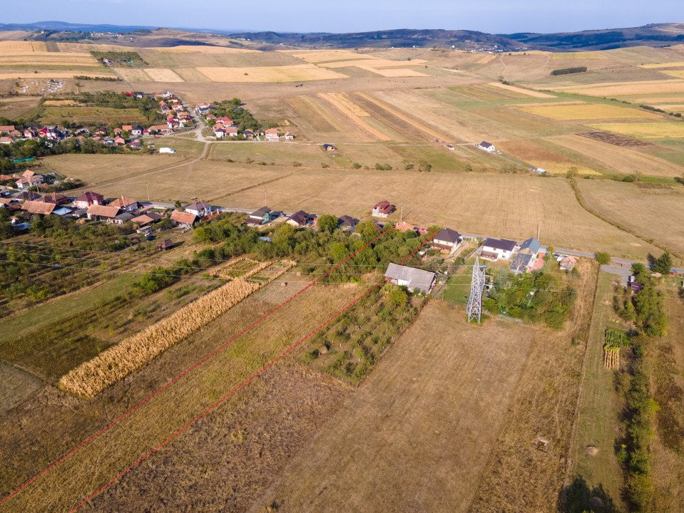 Teren intravilan, 5.800 m2, Săliștea Nouă, Baciu, jud. Cluj