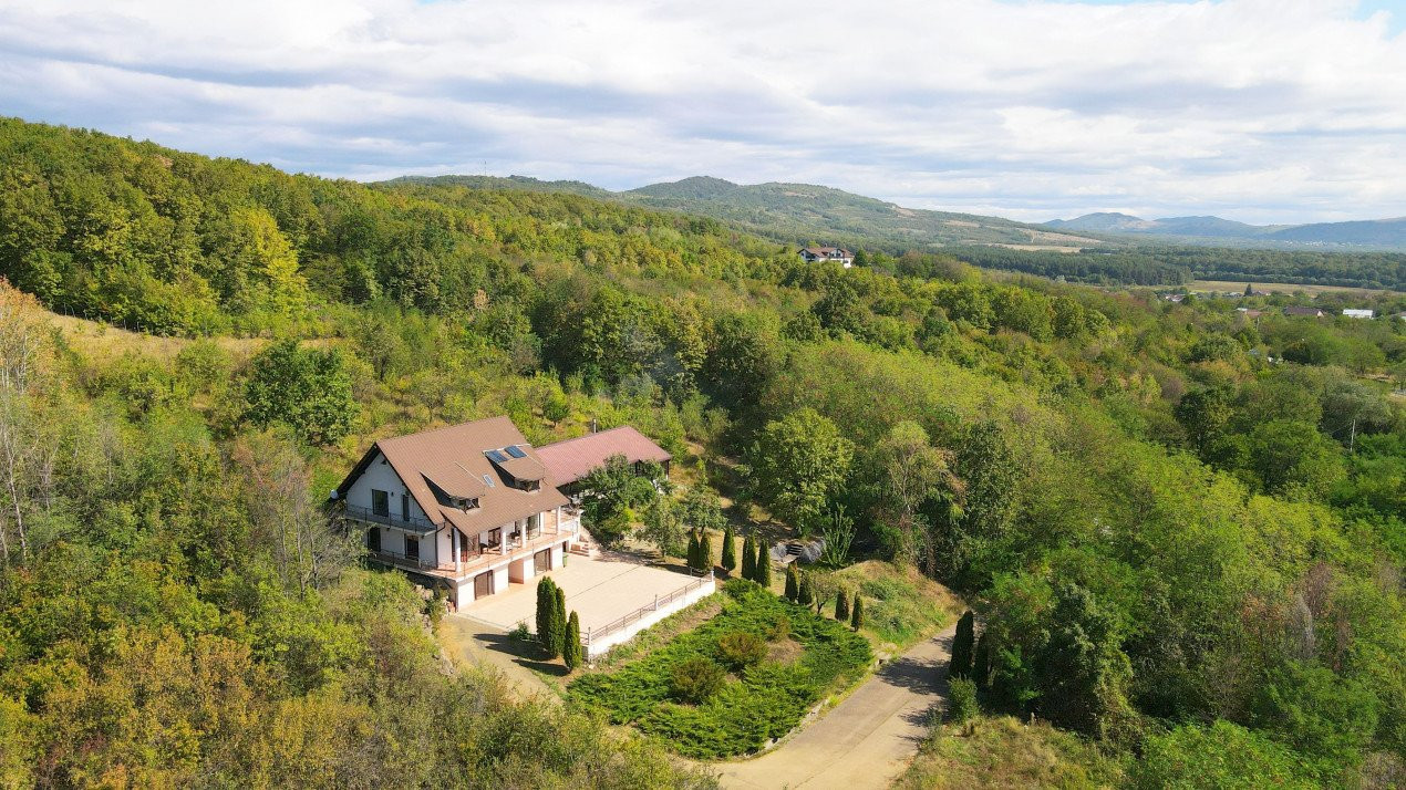 Hidden Hills Villa. Un Mansion House inconjurat de padure