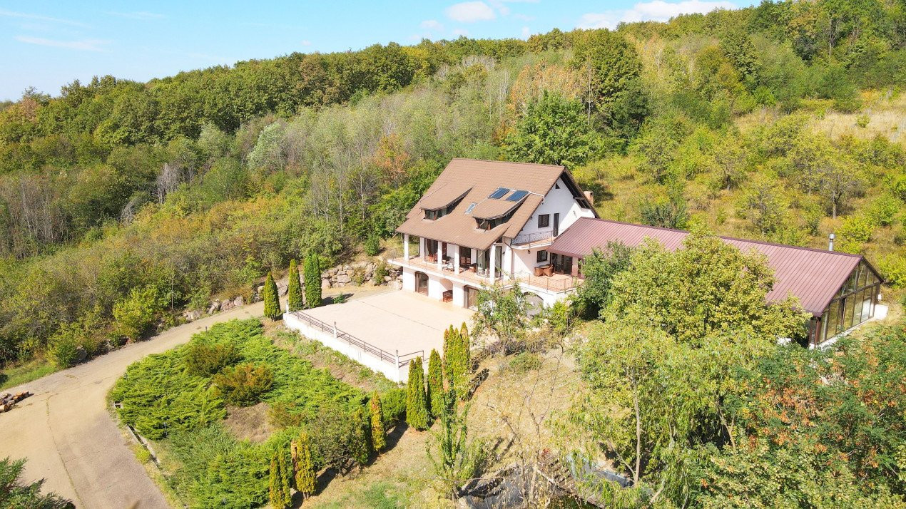 Hidden Hills Villa. Un Mansion House inconjurat de padure