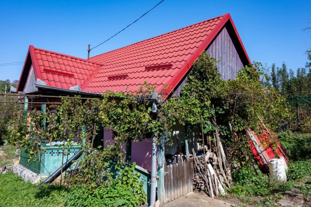 Casă de vânzare în Năsal, cu livadă și acces la pădure și lacuri-Țaga