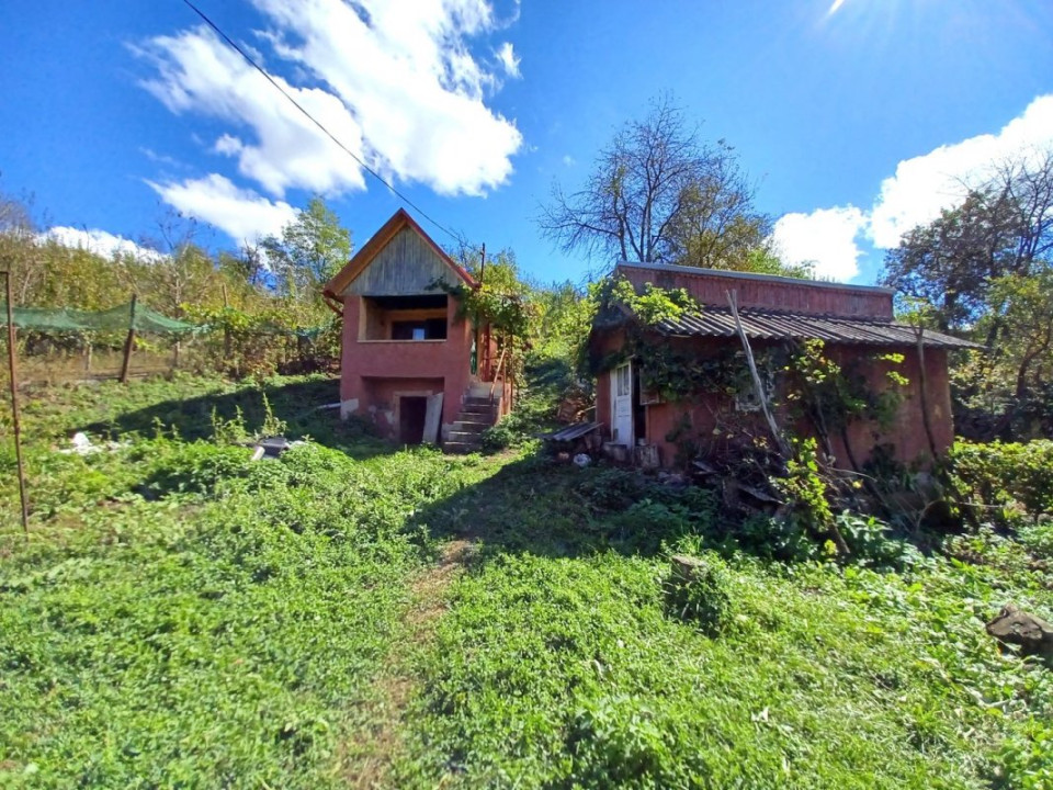 Casă de vânzare în Năsal, cu livadă și acces la pădure și lacuri-Țaga