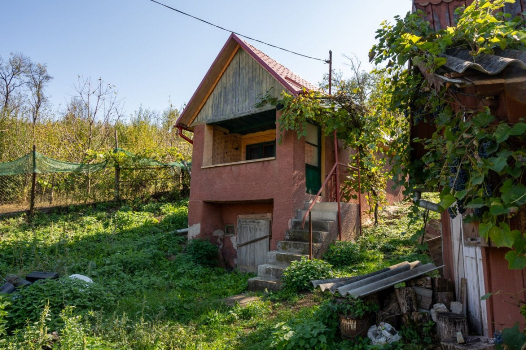 Casă de vânzare în Năsal, cu livadă și acces la pădure și lacuri-Țaga