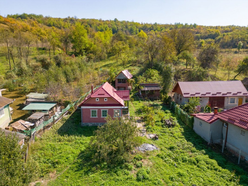 Casă de vânzare în Năsal, cu livadă și acces la pădure și lacuri-Țaga