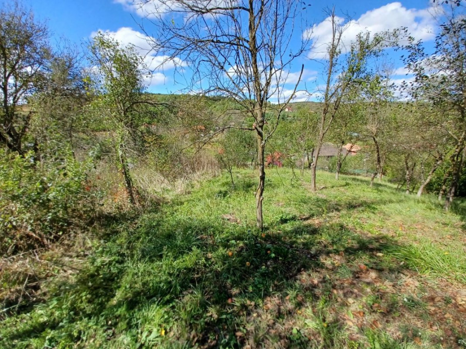 Casă de vânzare în Năsal, cu livadă și acces la pădure și lacuri-Țaga