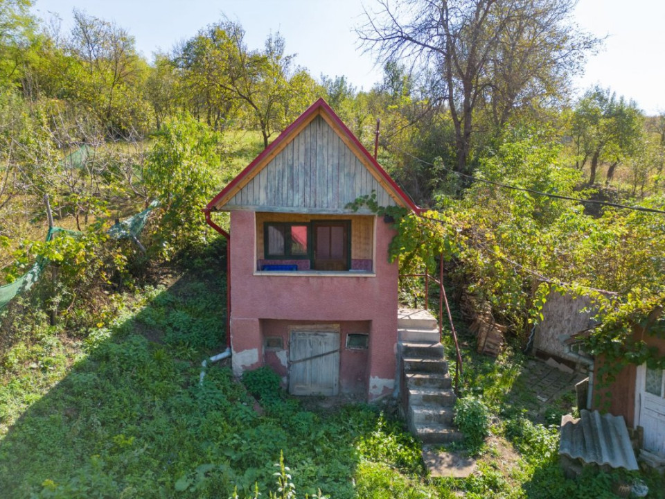 Casă de vânzare în Năsal, cu livadă și acces la pădure și lacuri-Țaga