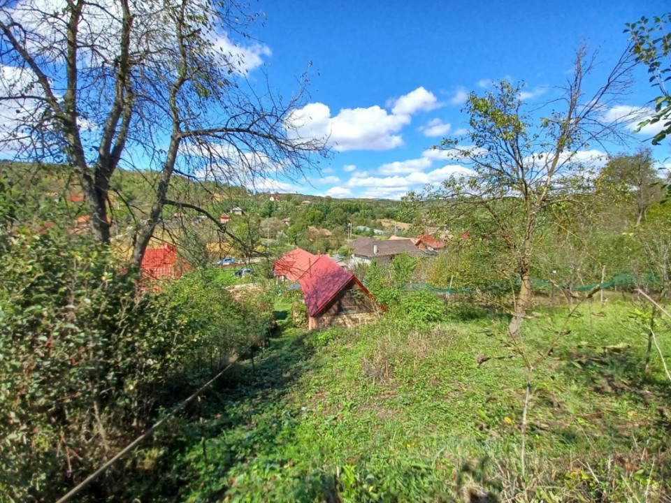 Casă de vânzare în Năsal, cu livadă și acces la pădure și lacuri-Țaga