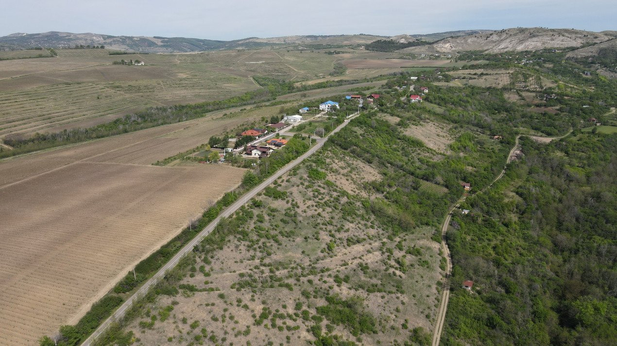 Oda vinului la casa din Tohani.