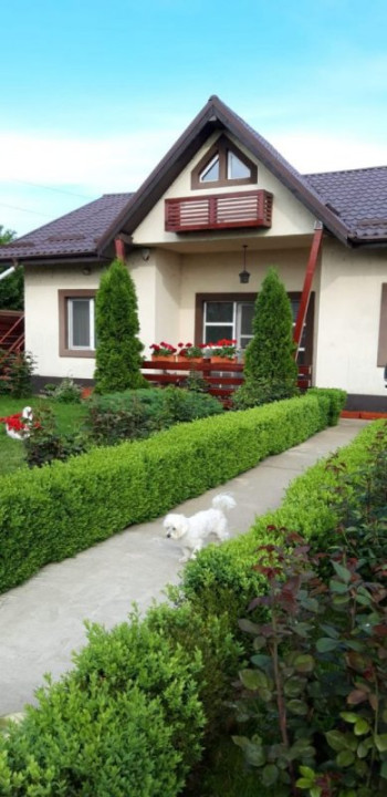 CASA 123 MP, LOT 336 MP, Vidra-DOBRENI 