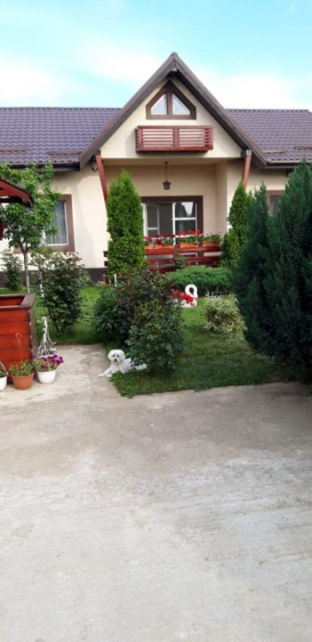 CASA 123 MP, LOT 336 MP, Vidra-DOBRENI 