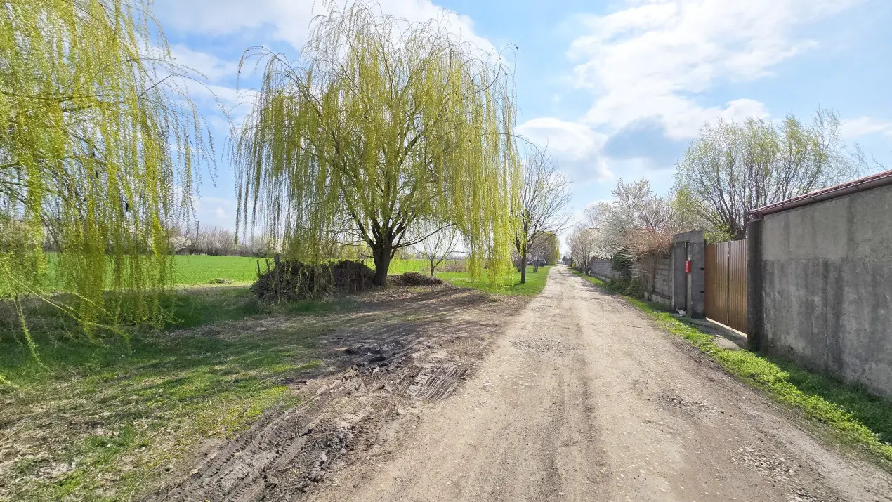 Teren dezvoltare imobiliară, Domnesti, Ilfov!