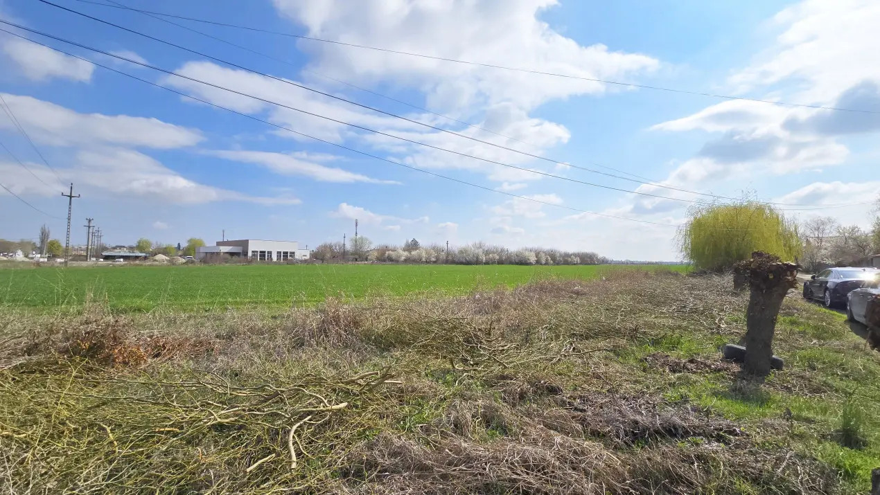 Teren dezvoltare imobiliară, Domnesti, Ilfov!