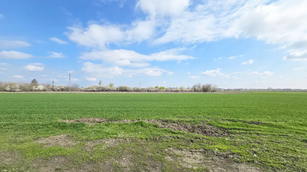 Teren dezvoltare imobiliară, Domnesti, Ilfov!