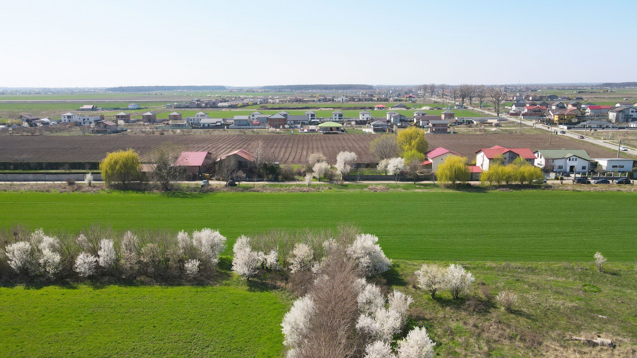 Domnesti, Ilfov - Teren dezvoltare 22 vile