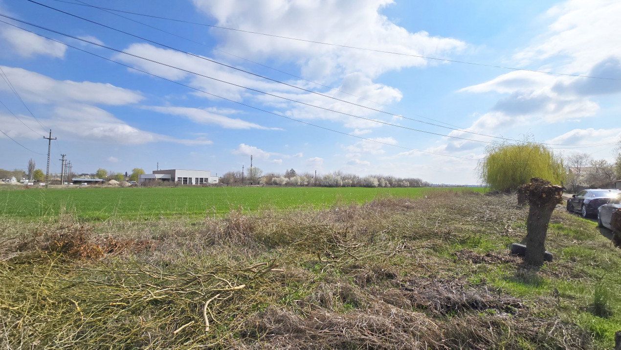 Domnesti, Ilfov - Teren dezvoltare 22 vile