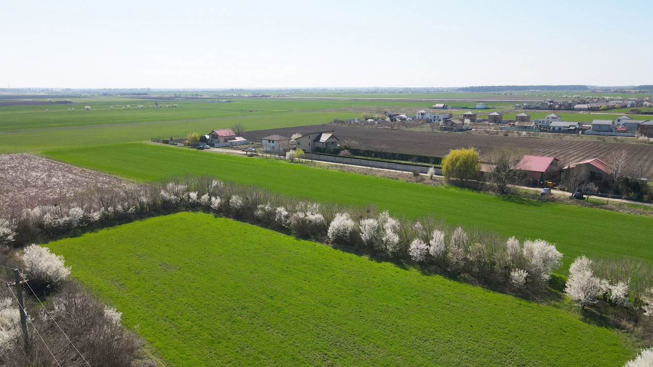 Domnesti, Ilfov - Teren dezvoltare 22 vile