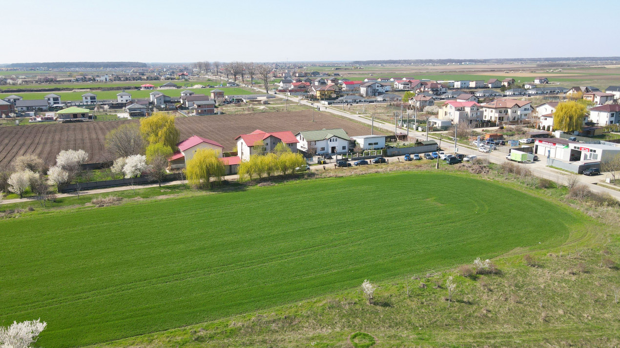 Domnesti, Ilfov - Teren dezvoltare 22 vile