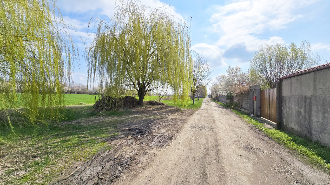 Domnesti, Ilfov - Teren dezvoltare 22 vile