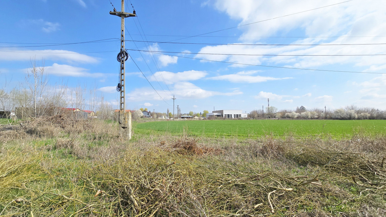 Domnesti, Ilfov - Teren dezvoltare 22 vile