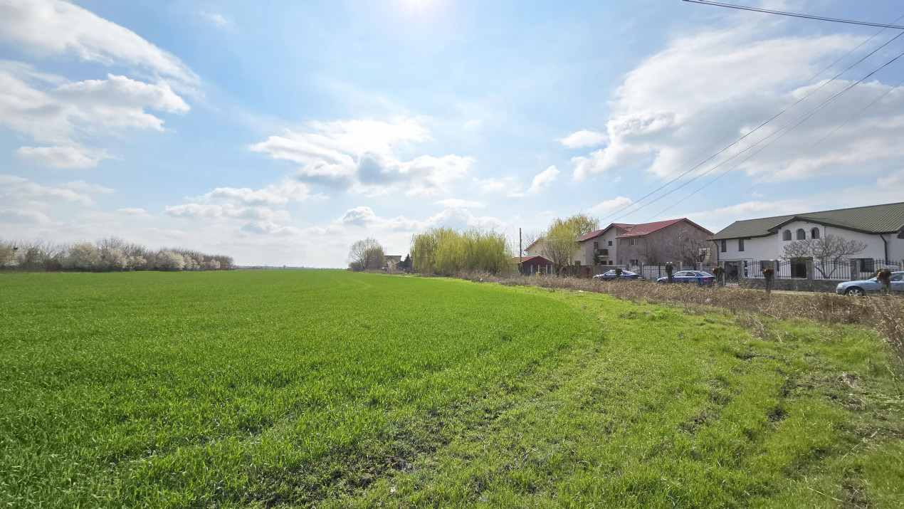 Domnesti, Ilfov - Teren dezvoltare 22 vile