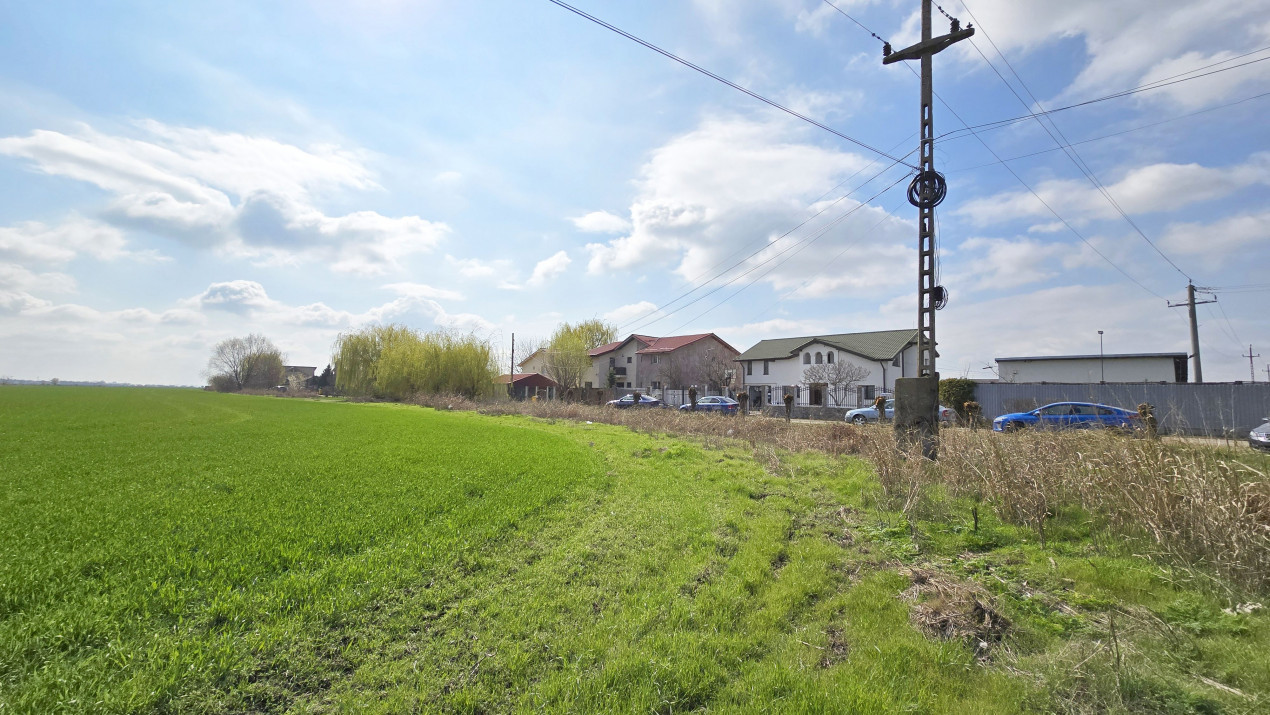 Domnesti, Ilfov - Teren dezvoltare 22 vile