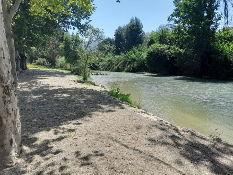 Vile moderne cu piscină: casa de vis vă așteaptă!