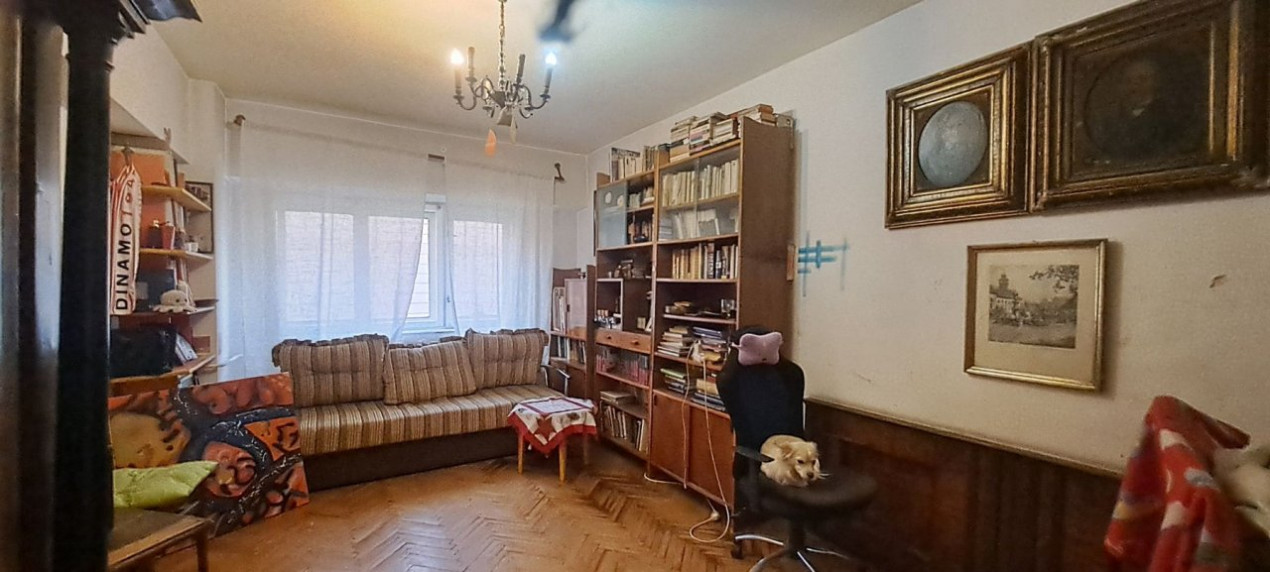 4 camere | 137 mp | Matei Voievod