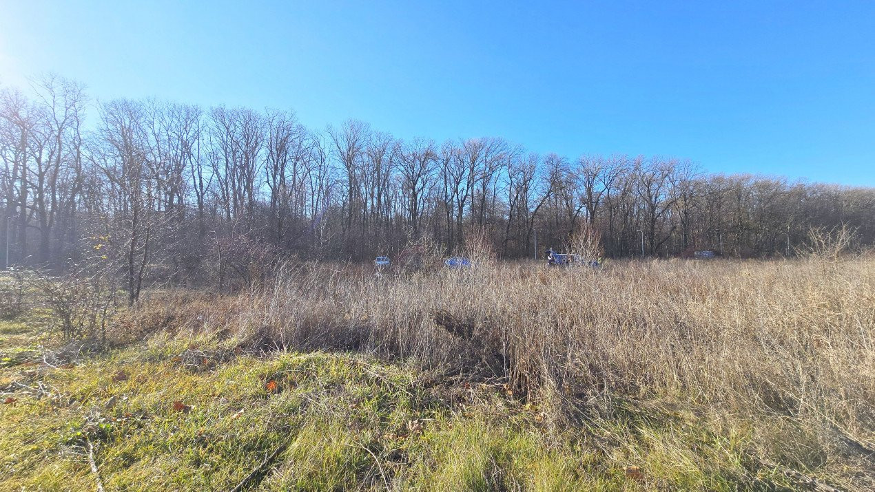 Teren intravilan, 2 fronturi, Drumul Padurea Pustnicu 65 - Greenfield