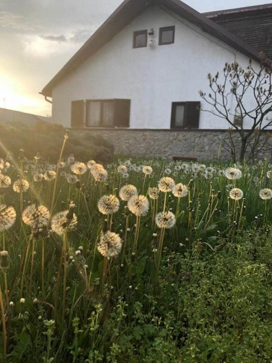 Proiect in derulare // Ferma Calinului  Gruiu