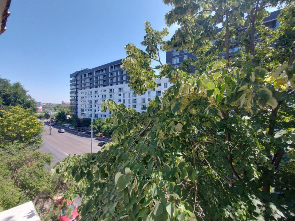 Apartamentul cu tei la geam, Floreasca - Barbu Văcărescu!