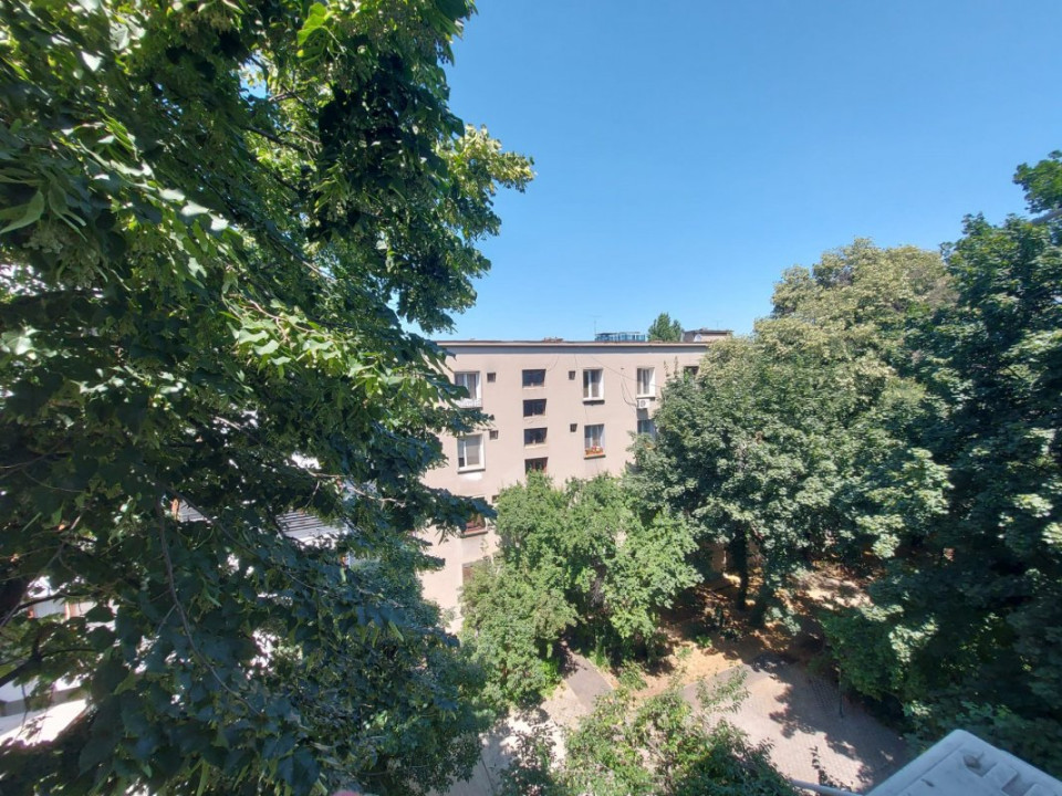 Apartamentul cu tei la geam, Floreasca - Barbu Văcărescu!