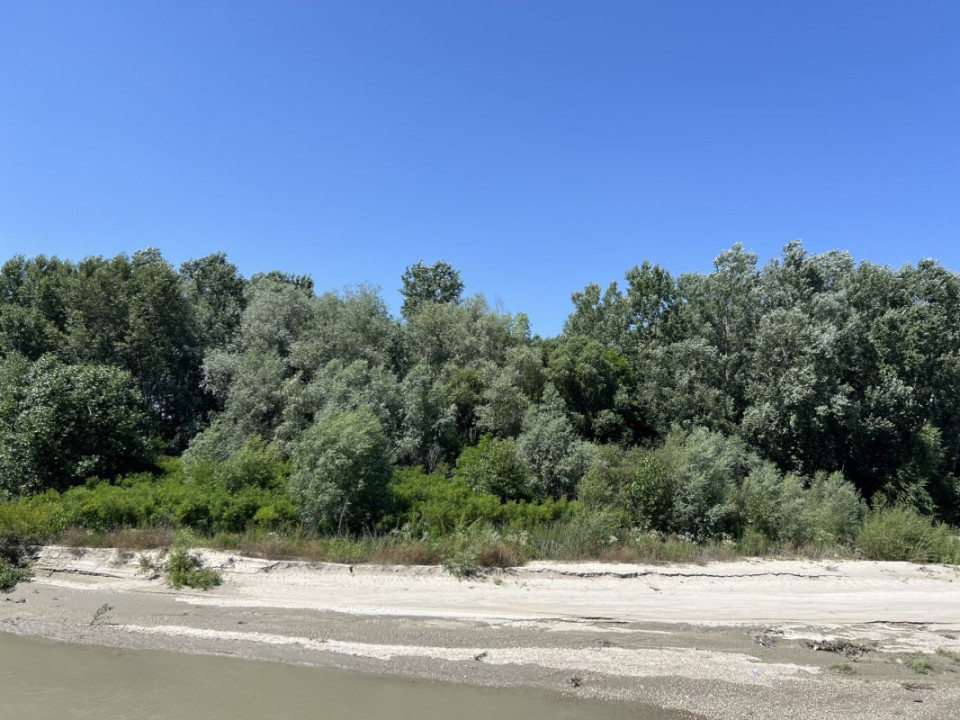 Refugiul Tau in Natura: Casa Moderna si Ultraluminoasa, Liniste Absoluta