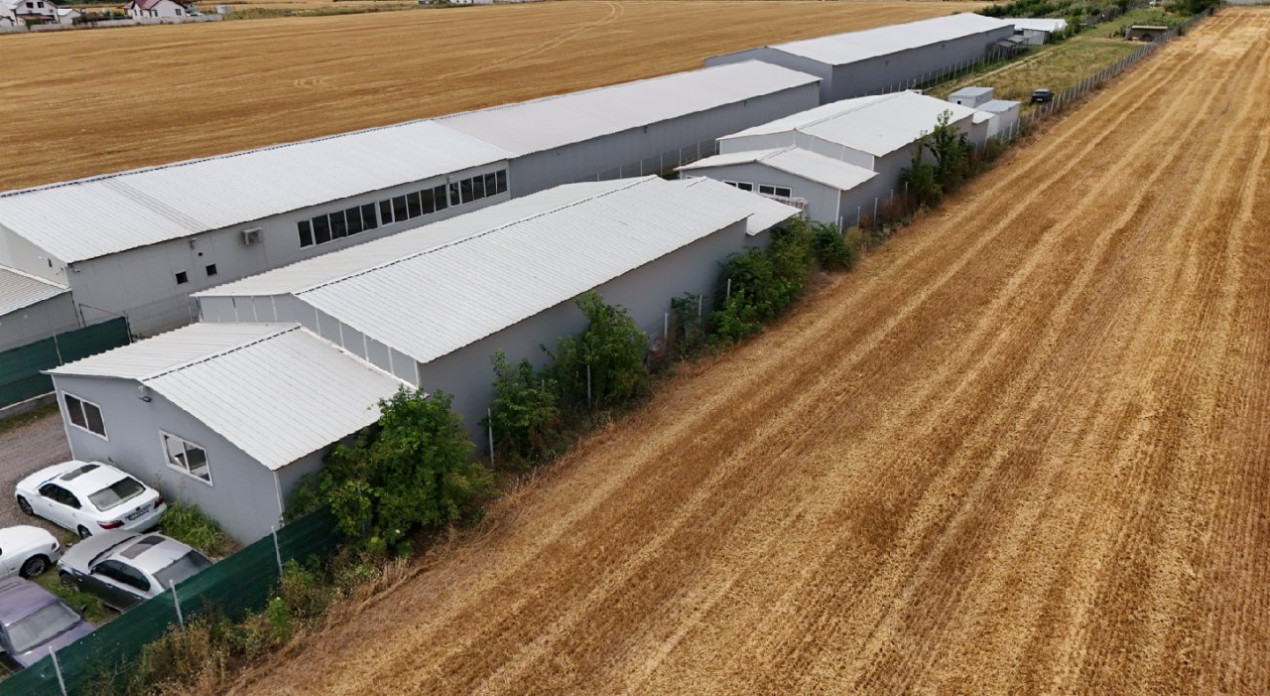 CIOLPANI Lot 5.000 MP