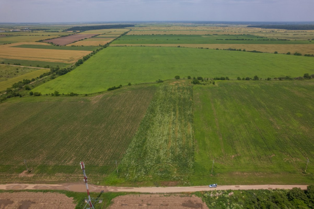 BALOTESTI - SAFTICA, TEREN INTRAVILAN 500 MP, DESCHIDERE 21 M !