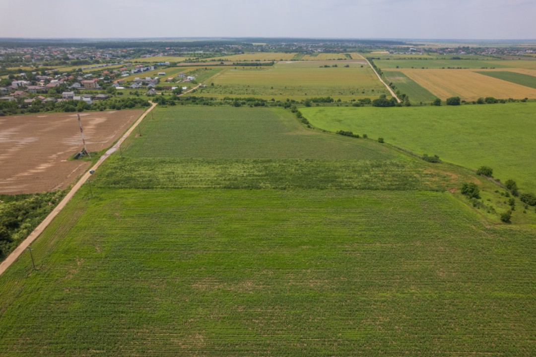 BALOTESTI - SAFTICA, TEREN INTRAVILAN 500 MP, DESCHIDERE 21 M !