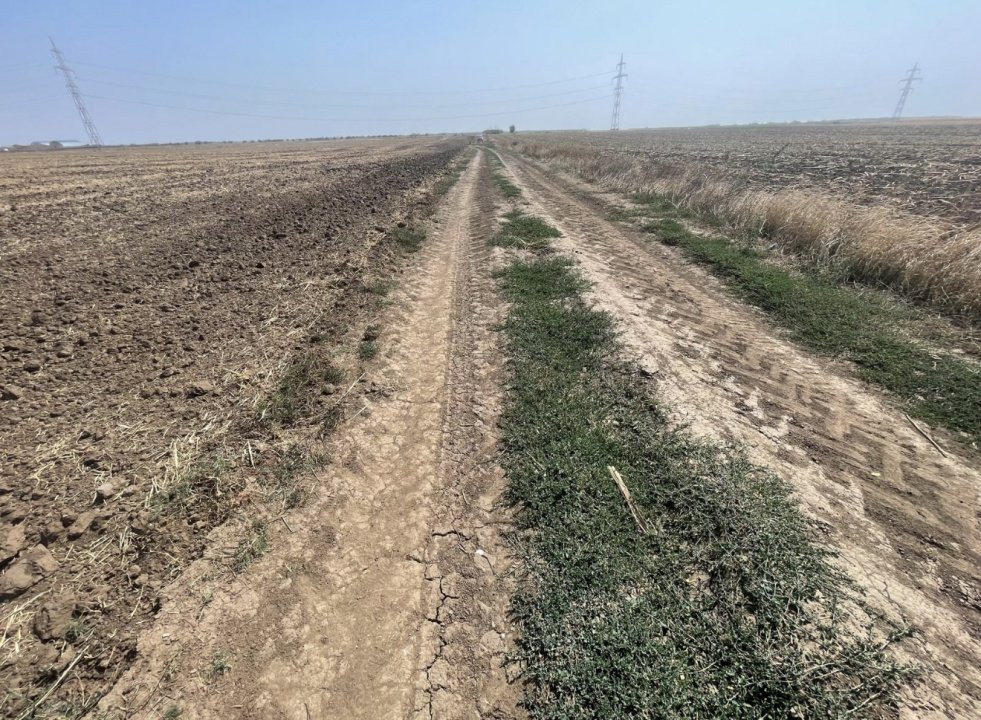 Teren Popesti Leordeni Strada Mecanizarii - A0